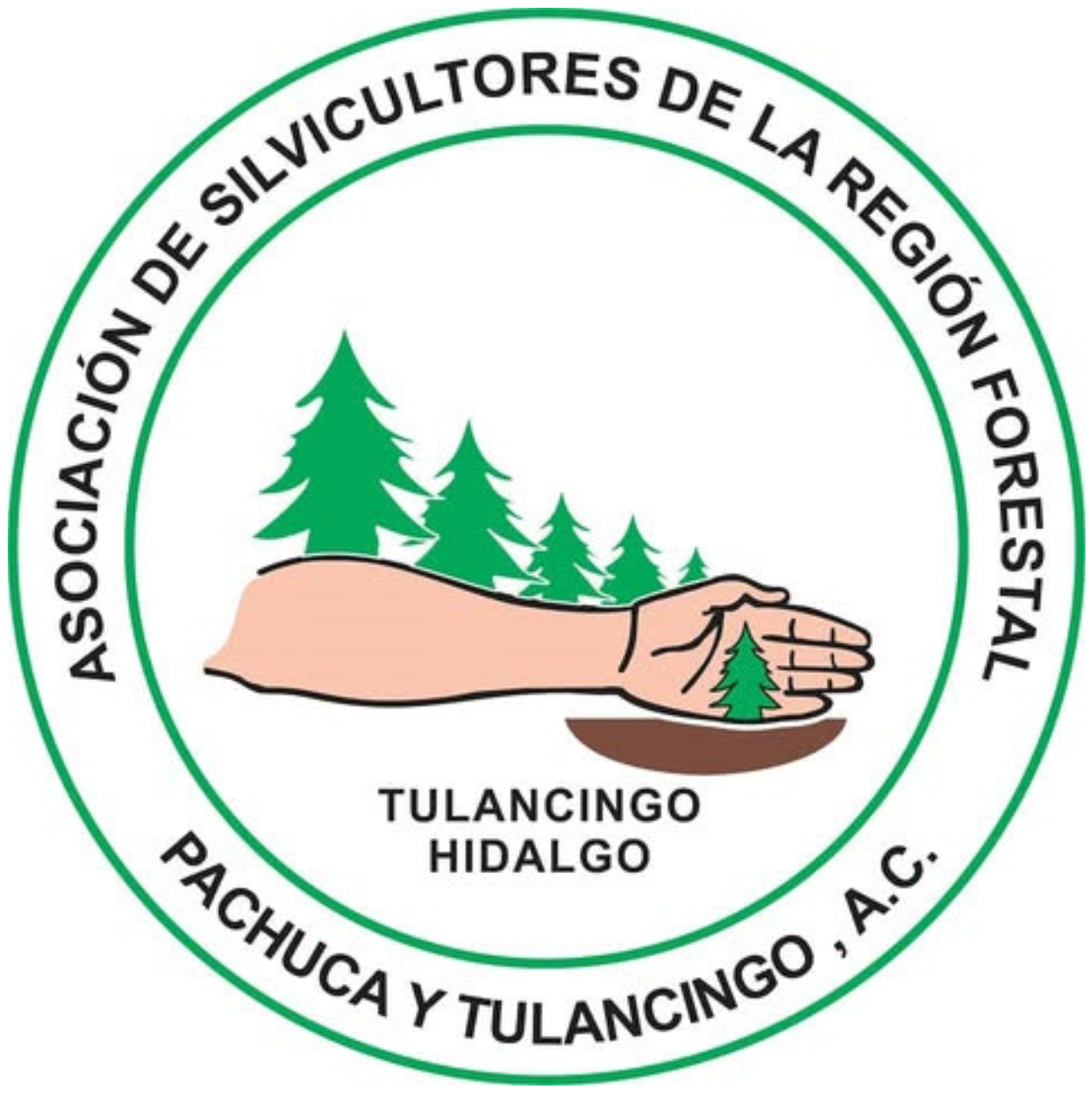 ForestradeCO2