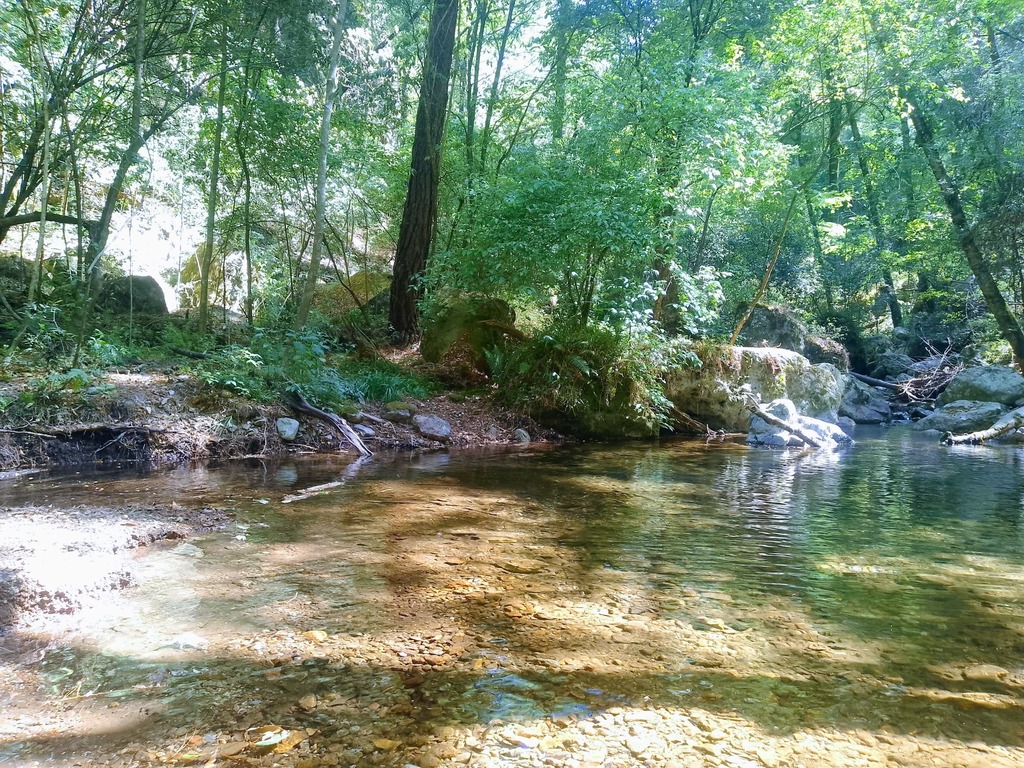 AGUA