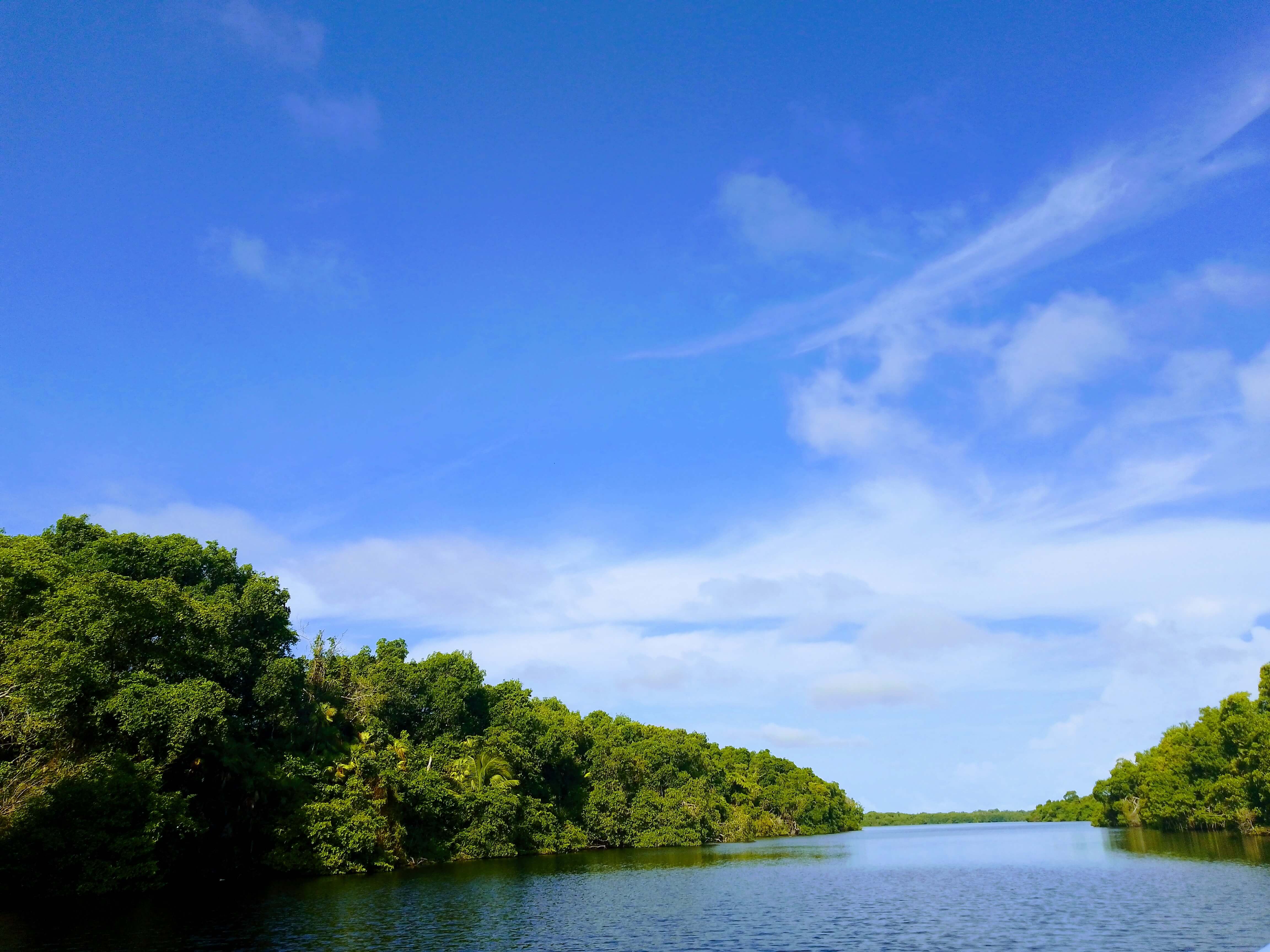 MANGLAR
